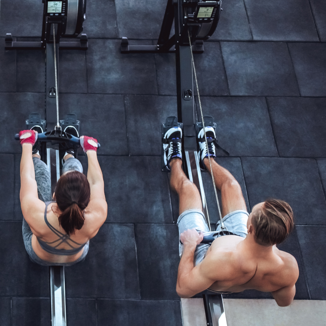 Longevity & Vitality